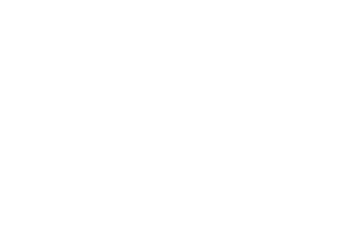 PANIBORGES-logo-site-white_2.png
